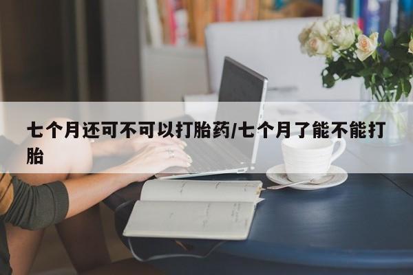 现在买打胎药怎么买多少钱七个月还可不可以打胎药/七个月了能不能打胎