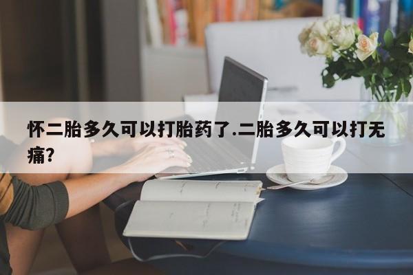 现在买打胎药怎么买多少钱怀二胎多久可以打胎药了.二胎多久可以打无痛？