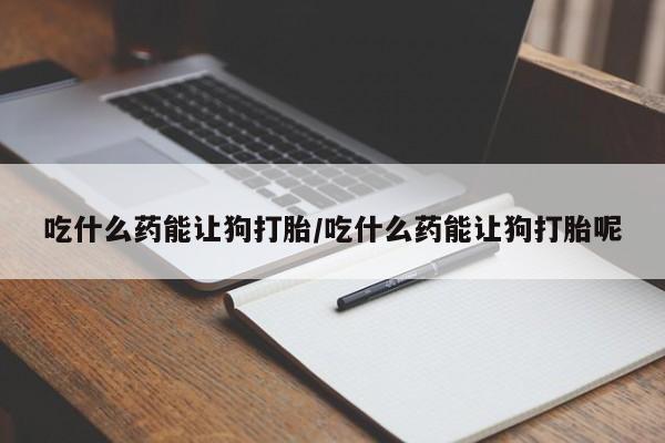 现在买打胎药怎么买多少钱吃什么药能让狗打胎/吃什么药能让狗打胎呢