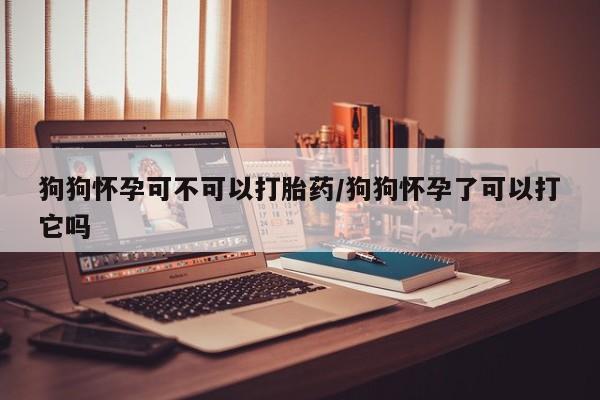 现在买打胎药怎么买多少钱狗狗怀孕可不可以打胎药/狗狗怀孕了可以打它吗