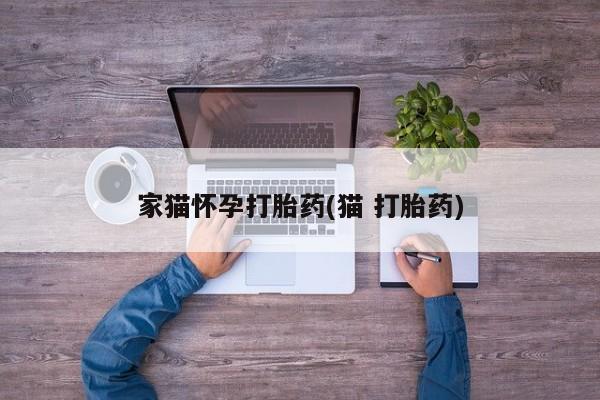 现在买打胎药怎么买多少钱家猫怀孕打胎药(猫 打胎药)